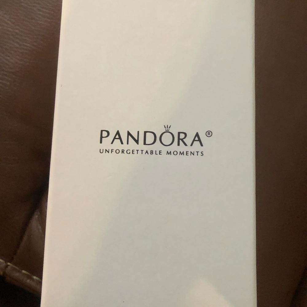 Pandora Christmas Santa Ornament 2013 - Picture 5 of 5